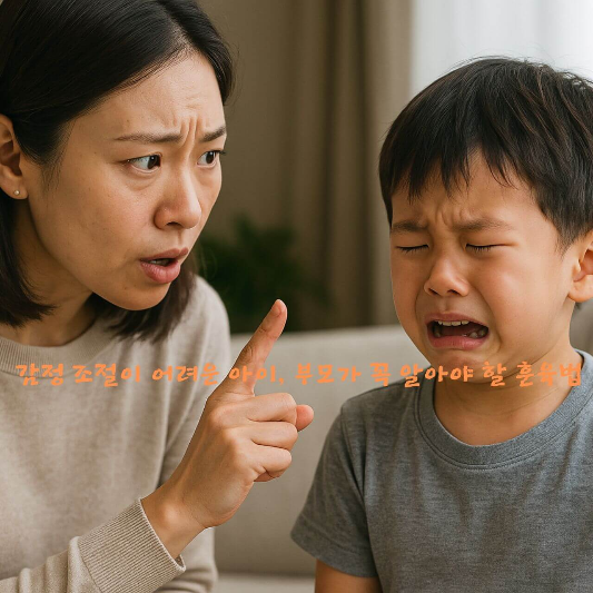 #감정조절 #훈육법 #정서발달 #문제행동 #심리발달 
#부모교육 #육아팁 #육아정보 #부모역할 #유아심리