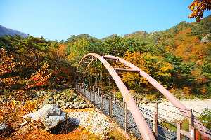 오색주전골