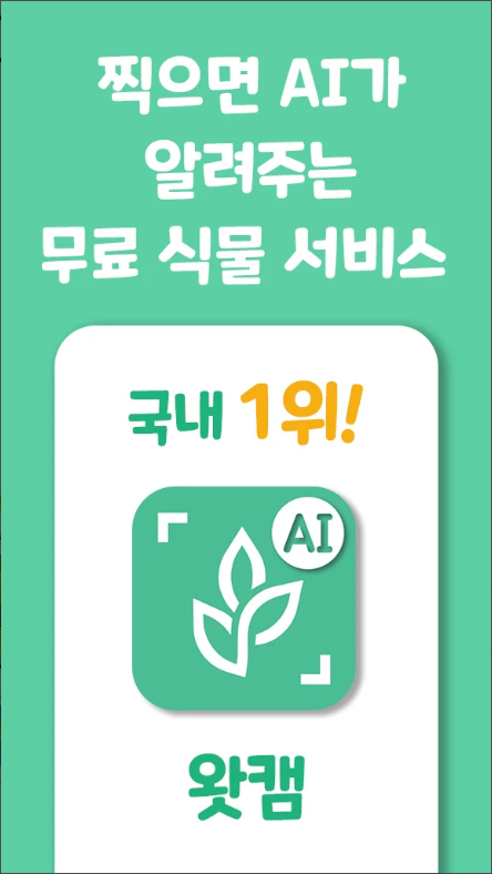 왓캠&#44; 한국 꽃 이름 찾기