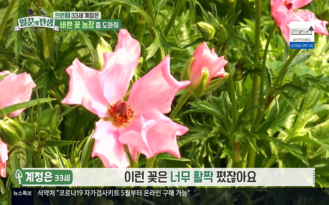 일꾼의 탄생.E21.220428p-NEXT.mp4_20220428_182214.665.jpg