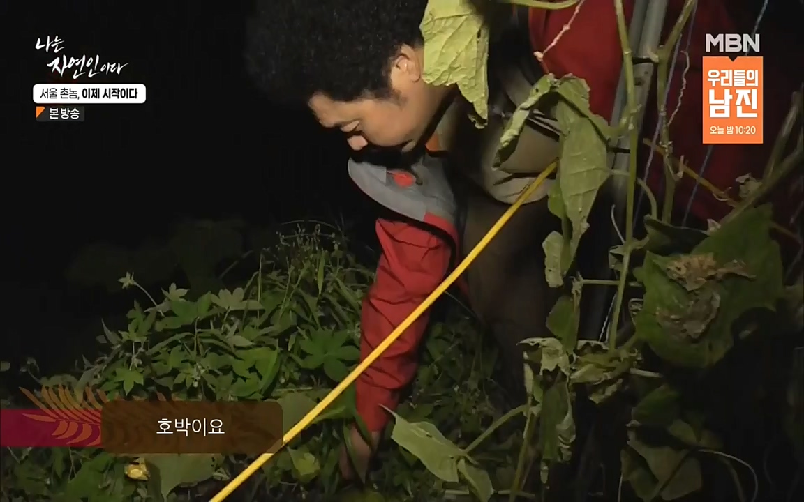나는 자연인이다.E521.220928.H265p-BULDU.mp4_20220930_210341.341.jpg