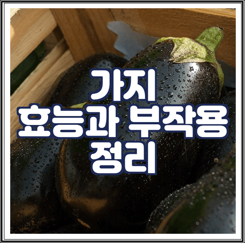  가지 효능과 부작용 정리