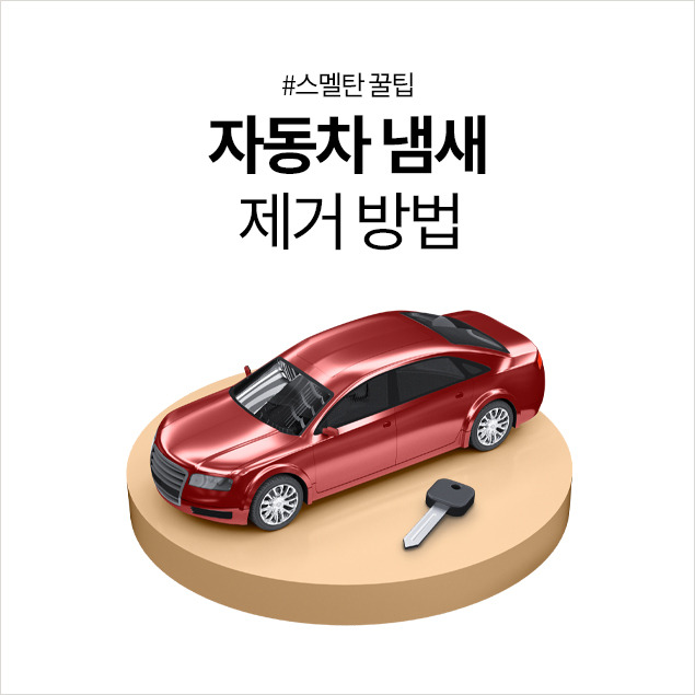돈 들이지 않고 효과적으로 차 안 냄새 제거할 수 있는 방법