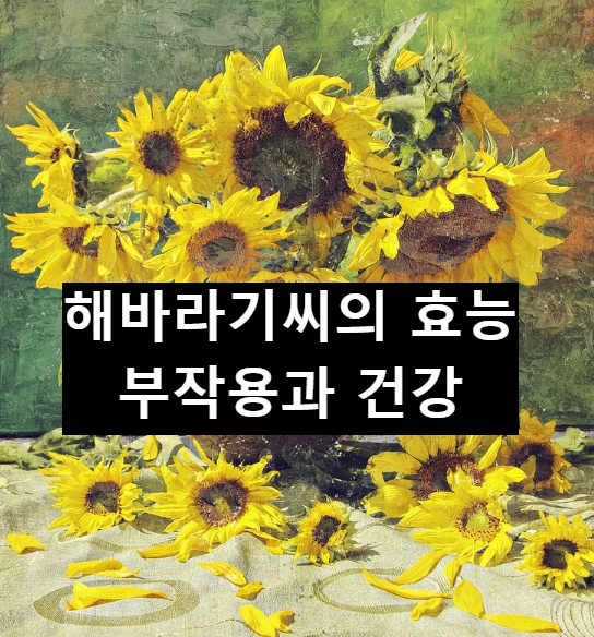  해바라기씨의 효능과 건강