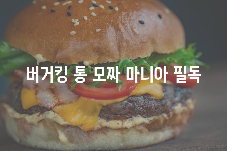 버거킹 통 모짜 마니아 필독