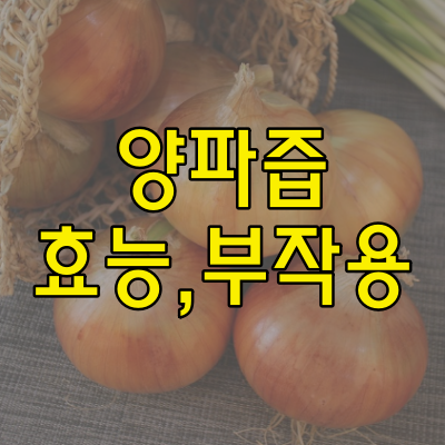 양파