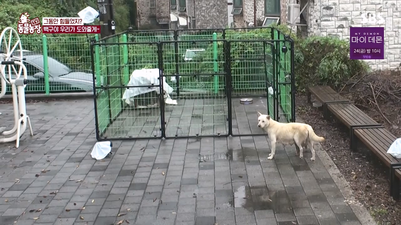 TV 동물농장.E1144.231106p-NEXT.mp4_20231105_180001.353.jpg