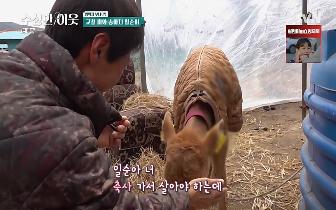 수상한 이웃.E03.220415p-NEXT.mp4_20220416_184254.298.jpg