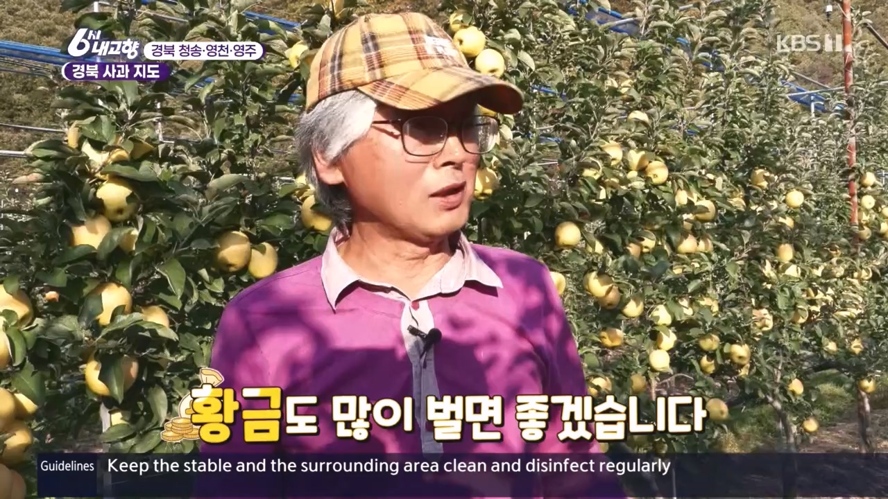 6시 내고향.E7907.231108p.H264-F1RST.mp4_20231108_204728.570.jpg