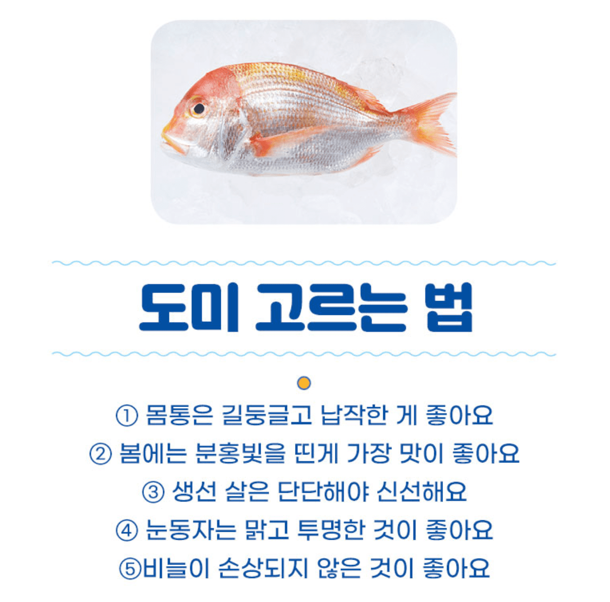 수산대전 제로페이 모바일 상품권 구매방법 5월 발행일정