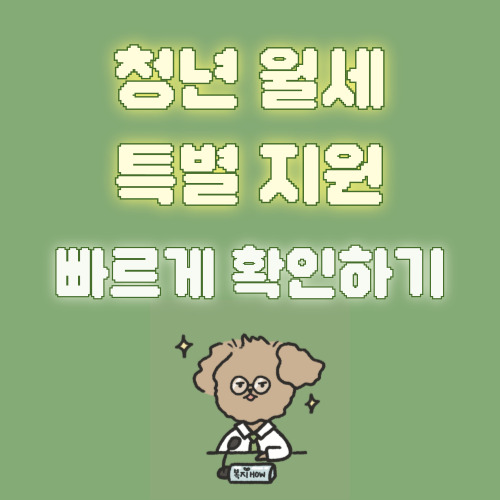 청년월세