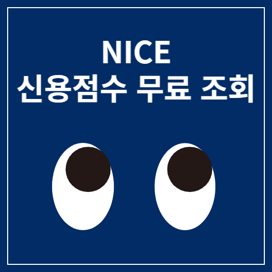 나이스 신용점수