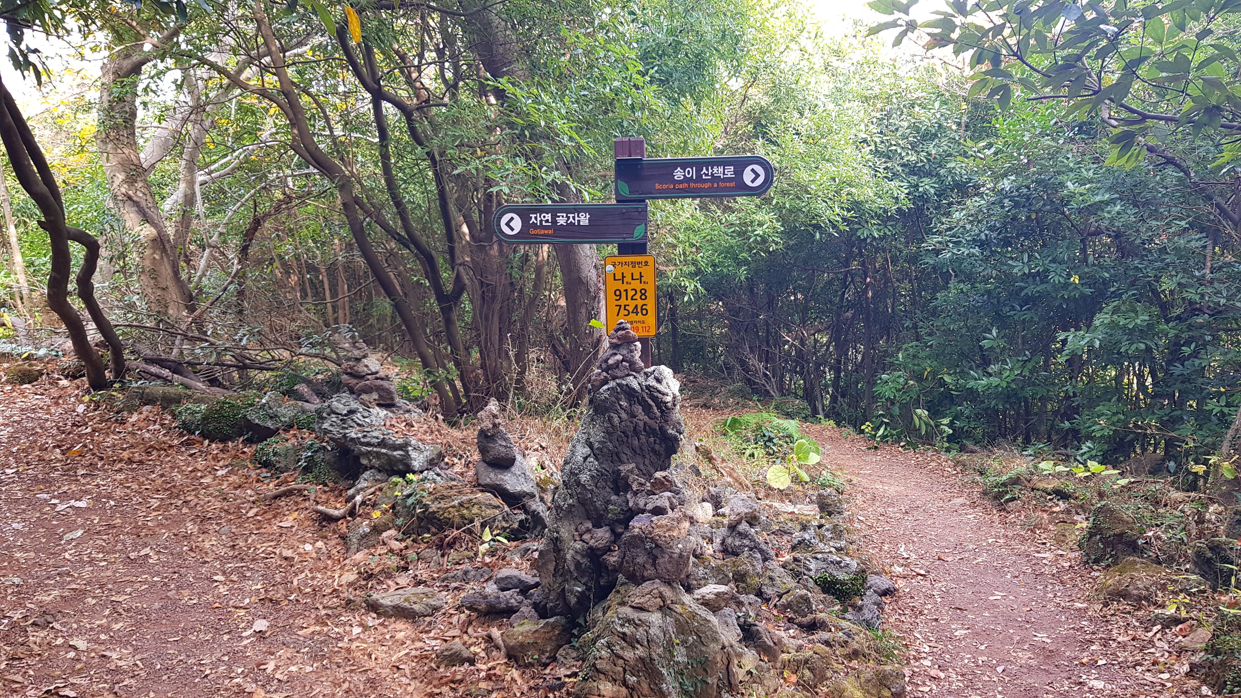 송이 산책로