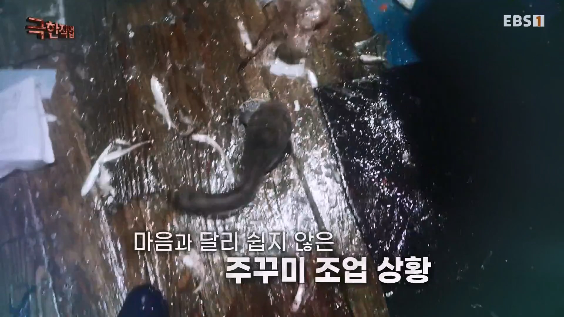 극한직업.E797.240309p.H264-N.mkv_20240310_172717.413.jpg