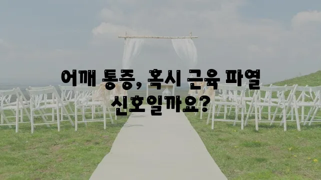 어깨 근육 파열 증상과 원인 꼼꼼히 알아봅시다!
