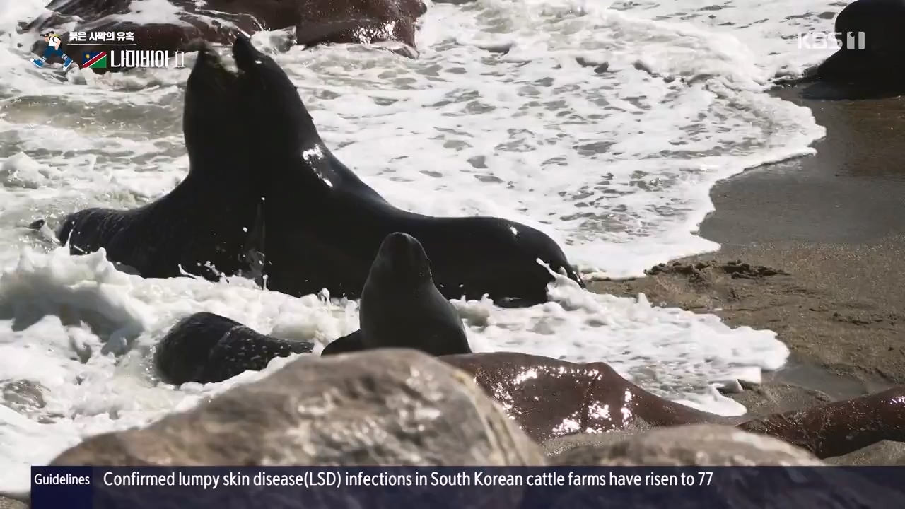 걸어서 세계속으로.E816.231105p-NEXT.mp4_20231104_175432.207.jpg