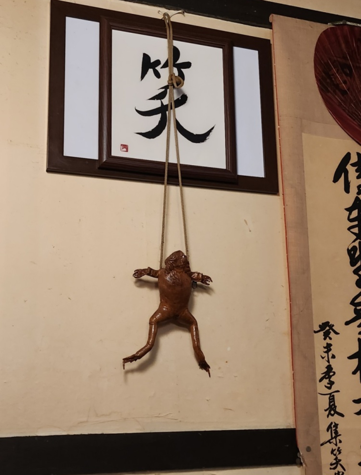 카에루 이미지