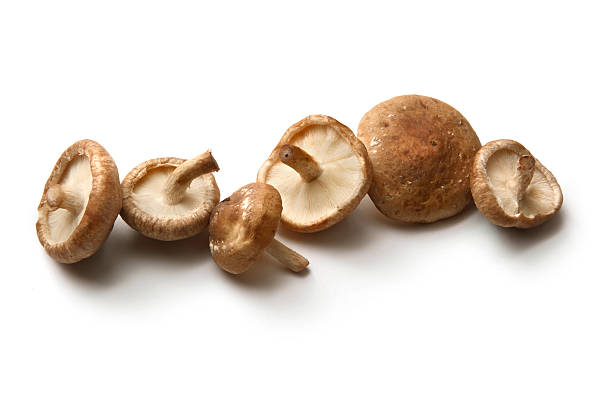 부정맥에 좋은음식 10가지 총정리 30