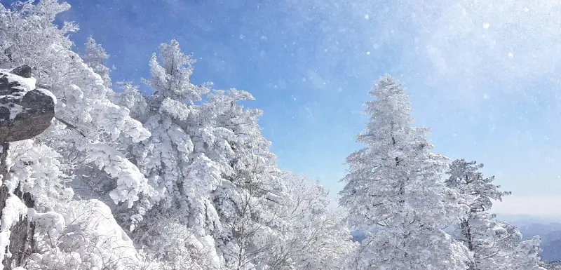 지리산 설경 상고대