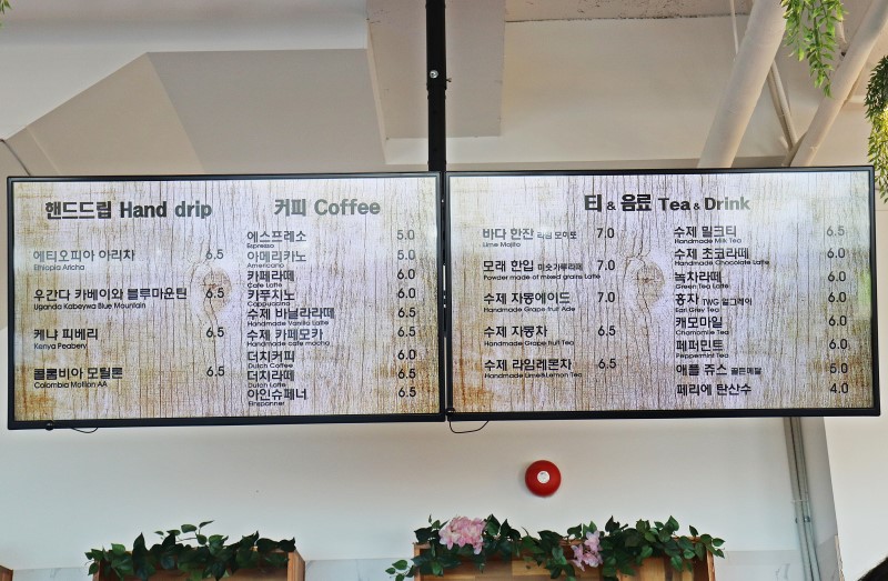 이솔 이미지