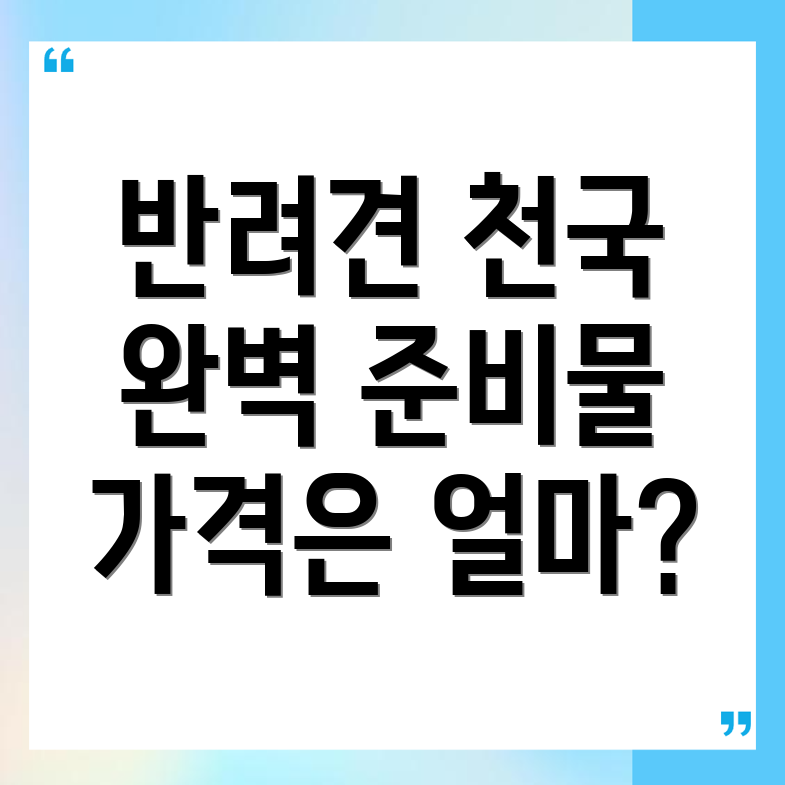 반려견 놀이터