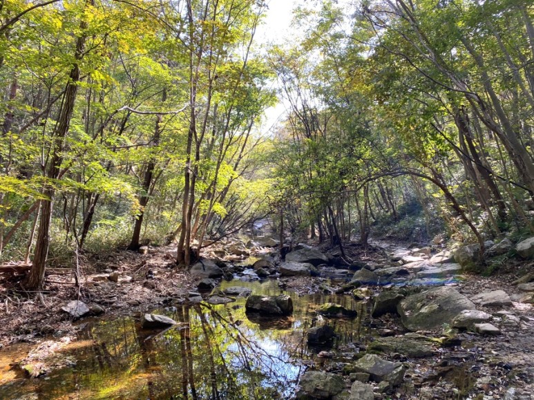 직소 [부안/변산면] : 변산반도국립공원 35