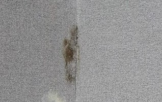  곰팡이 냄새 없애는 방법 저만 알고있기 아까운게;ㅋ