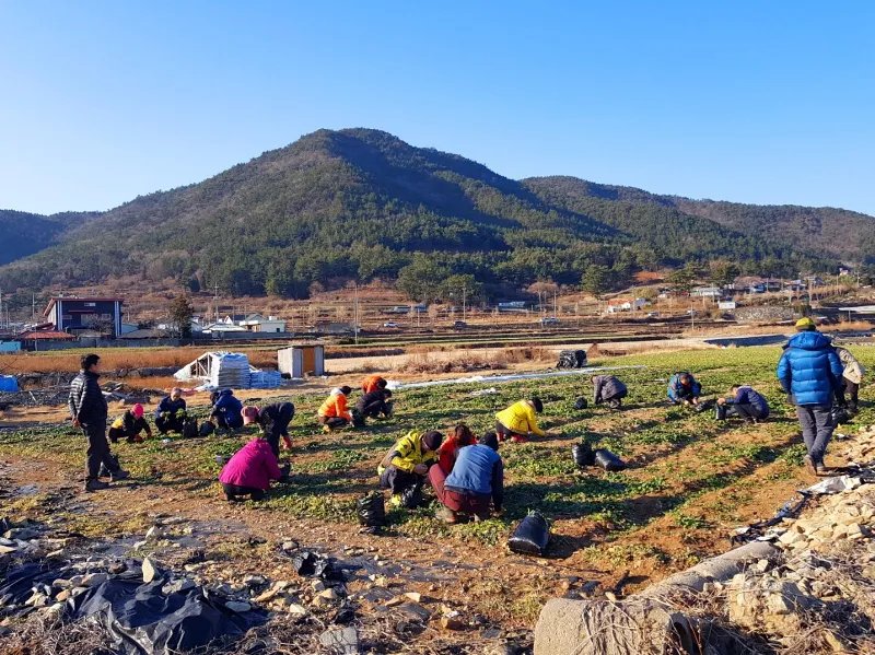 남해 창선도 대방산