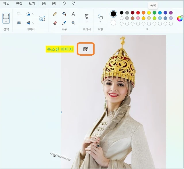 모자이크할 이미지를 축소합니다.