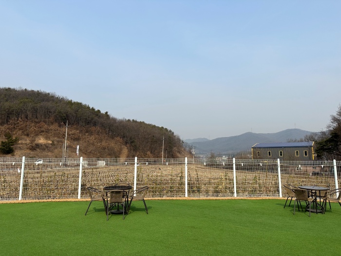 (이천 카페) 넓은 잔디밭에서 뛰어놀 수 있는 애견 카페 '리츠펫 기프트' (이천 롯데프리미엄아울렛 부근) 1