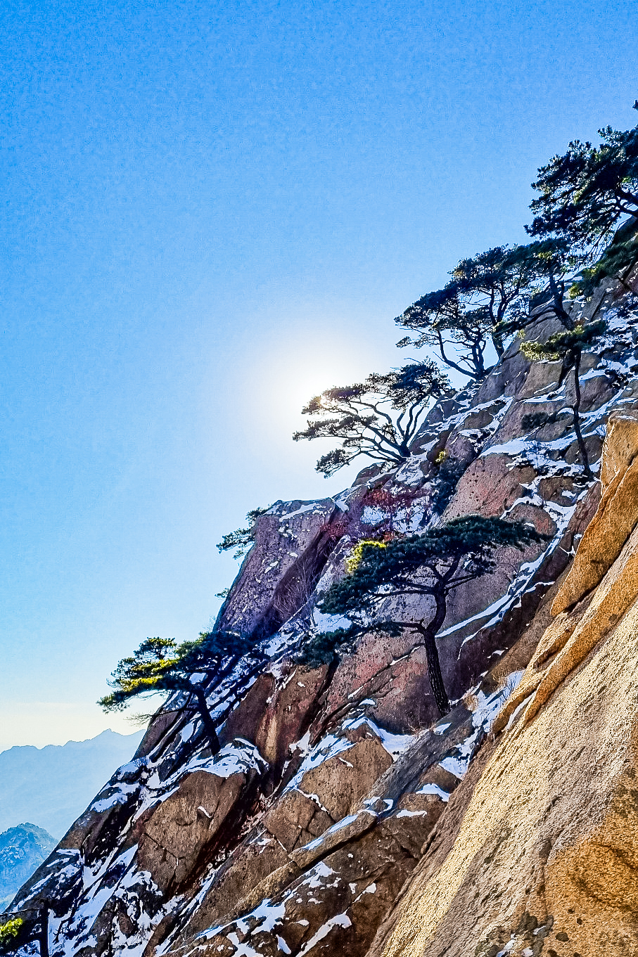 겨울 도봉산 신선대 등산 정상에 핀 소나무