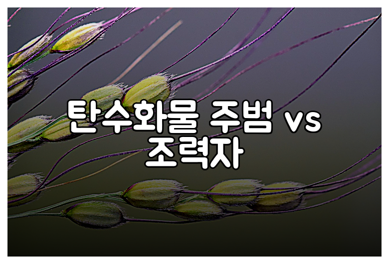 탄수화물 주범 vs 조력자