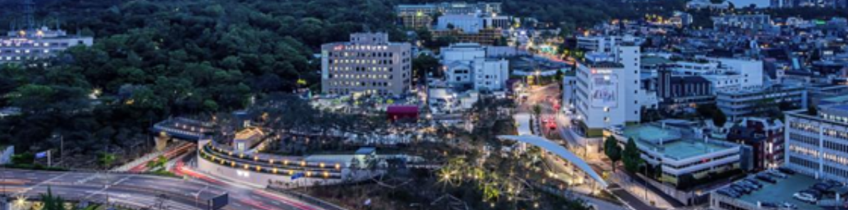 우리나라 남산 아래 도시 보여주는 서울인구를 파악하기 위한 사진
