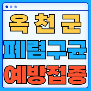 충청북도 옥천군 폐렴구균 백신 무료 예방접종 비용지원 가격 신청방법 대상자 간격 13가 15가 20가 23가