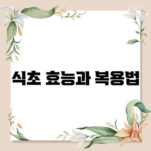 식초 효능과 복용법