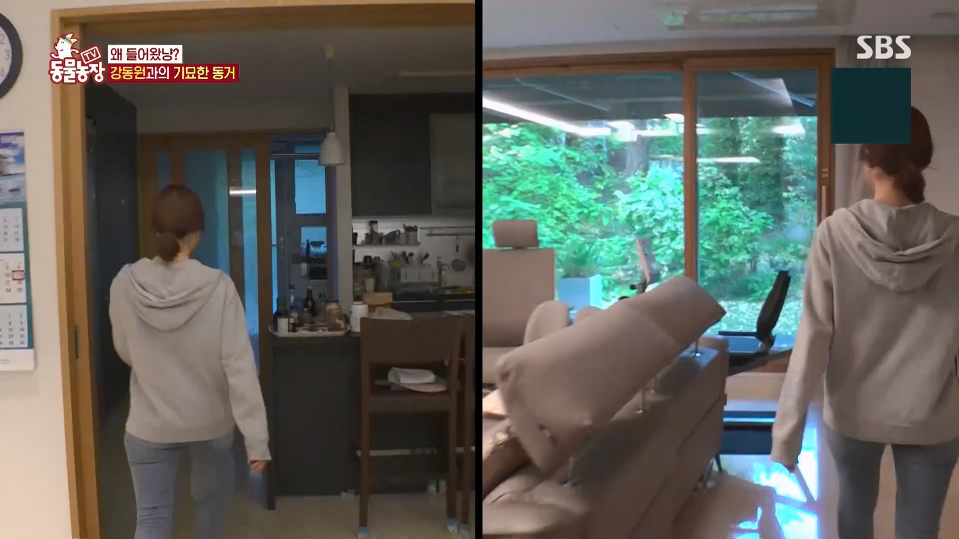 TV 동물농장.E1148.231203p.H264-F1RST.mp4_20231203_181434.990.jpg