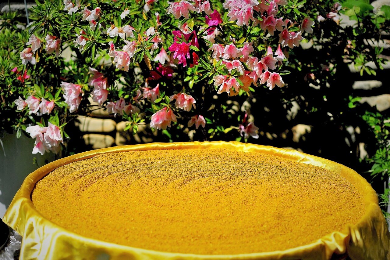 벌화분(Bee pollen)1