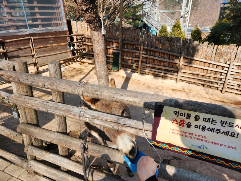 대구 네이처파크