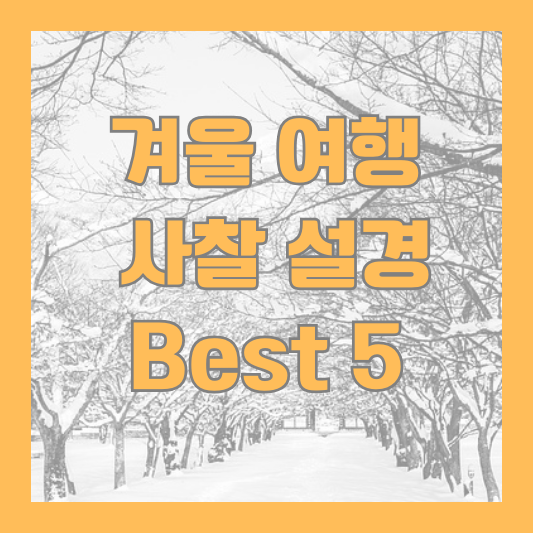 겨울 사찰 여행 Best 5