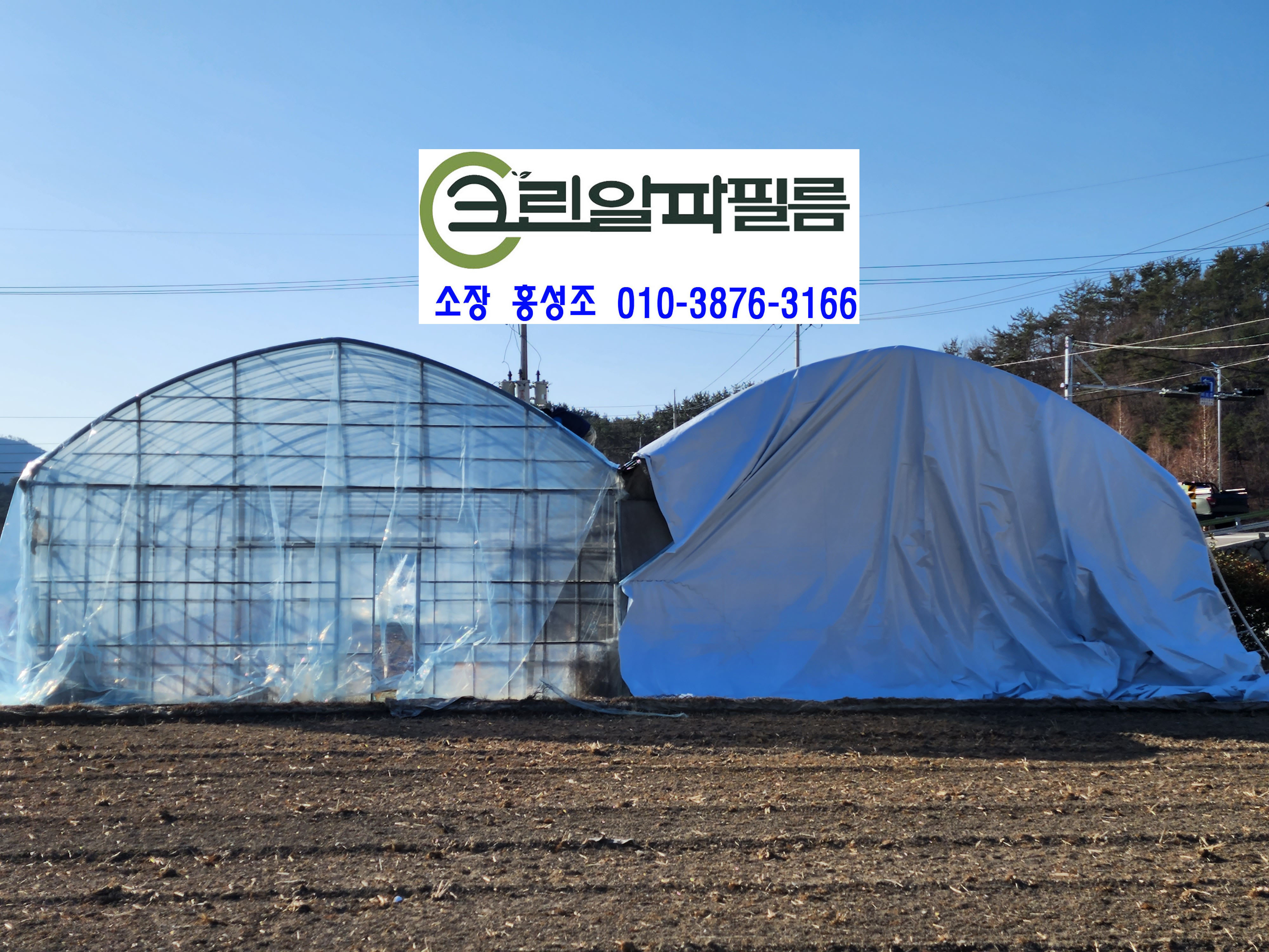 크린알파필름 이미지