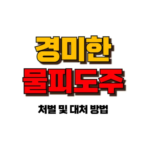 경미한 물피도주