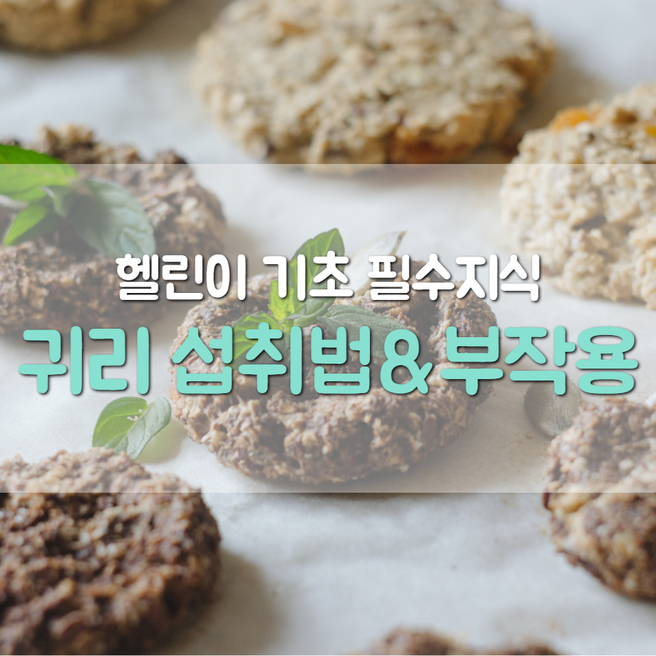  [헬린이 기초 필수지식]100%귀리밥만먹는이유-귀리 섭취법&부작용