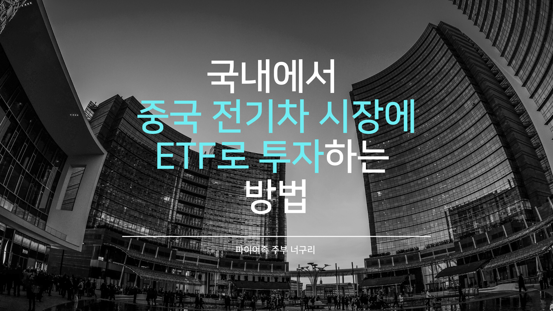 국내에서 중국 전기차 시장에 ETF로 투자하는 방법