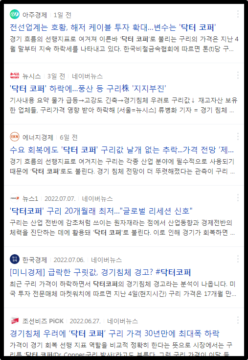 닥터코퍼 관련 뉴스기사들