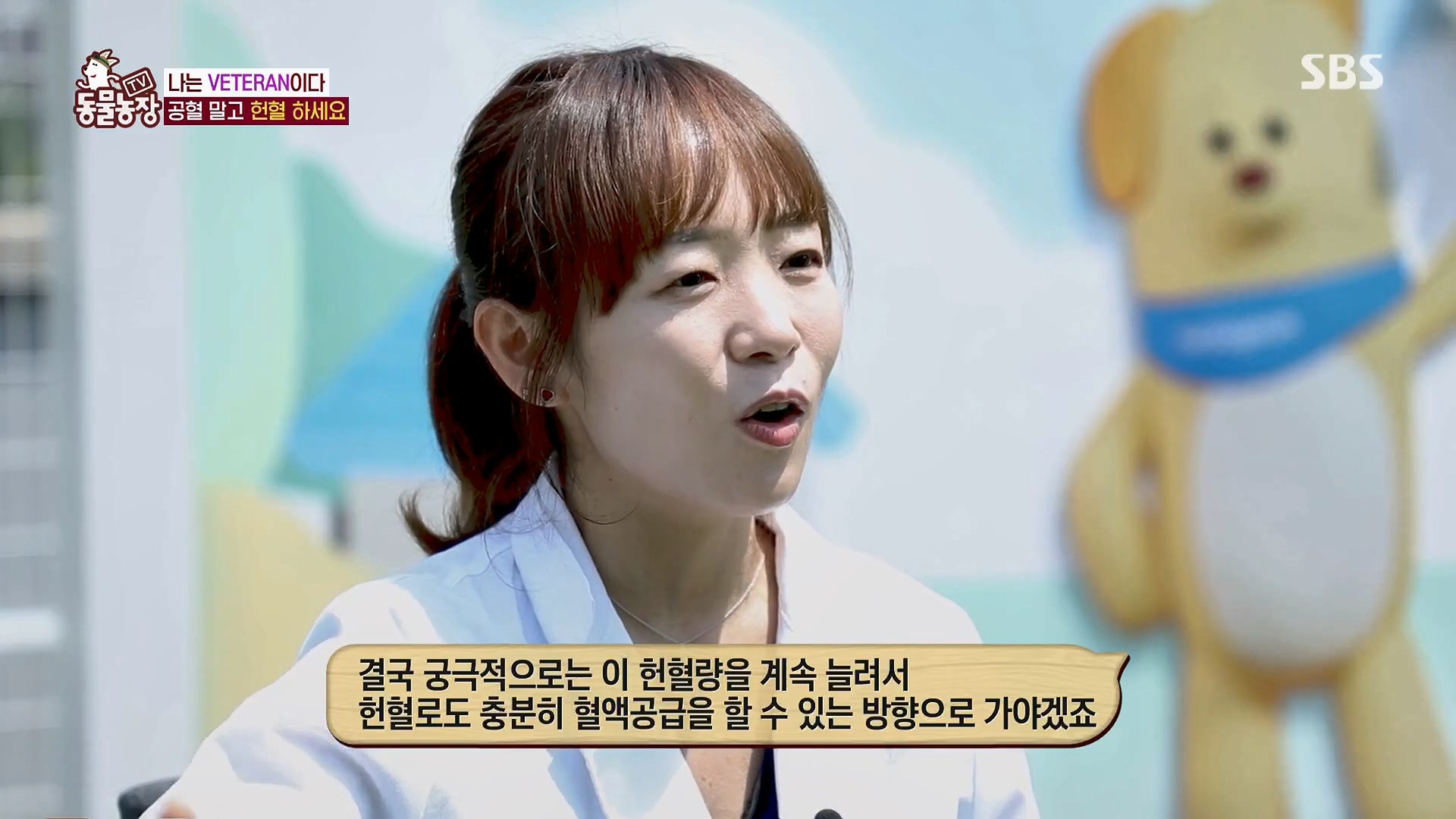 TV 동물농장.E1123.230604p.H264-F1RST.mp4_20230604_172741.396.jpg