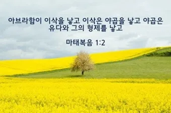 마태복음 28장 성경 말씀 묵상_15