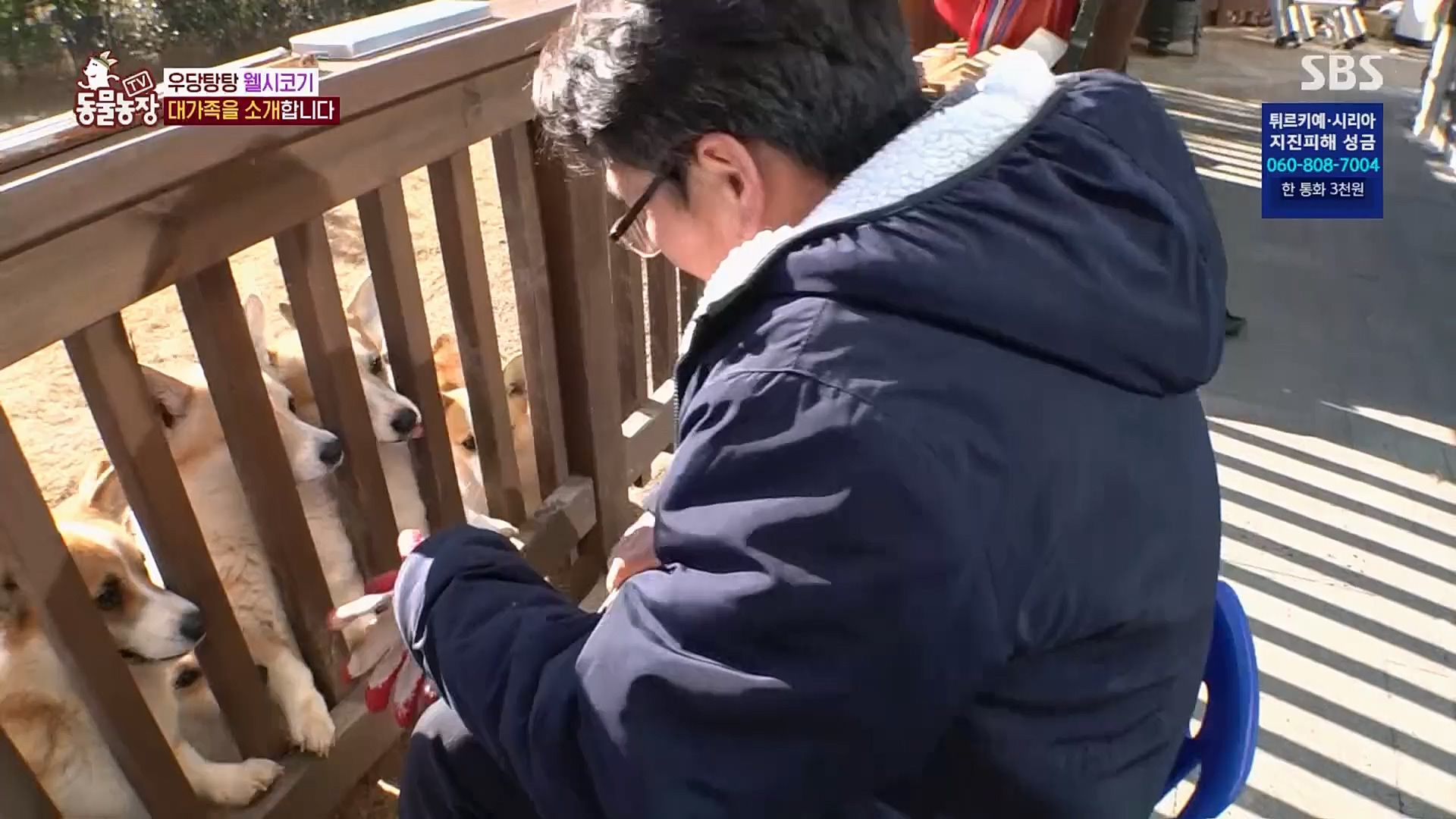 TV 동물농장.E1108.230212p.H264-F1RST.mp4_20230212_182133.522.jpg