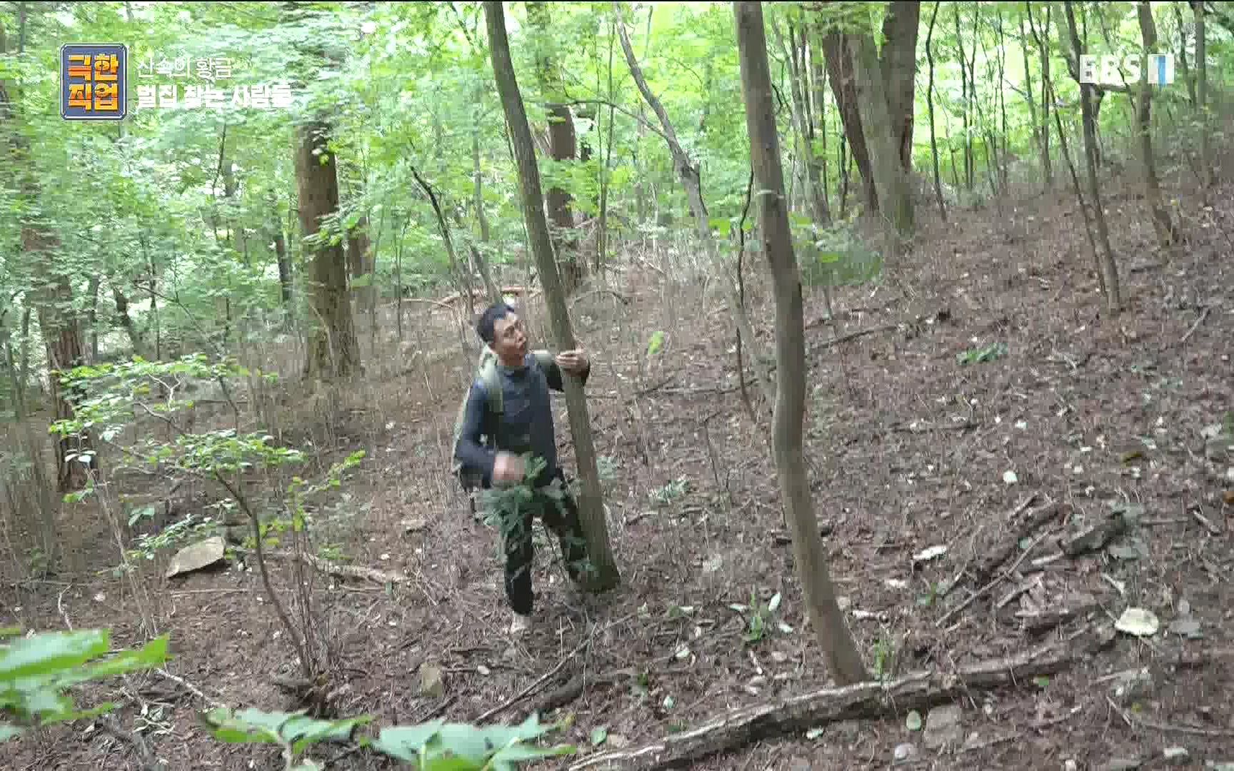 벌집 찾는 사람들.mp4_20221006_212356.137.jpg