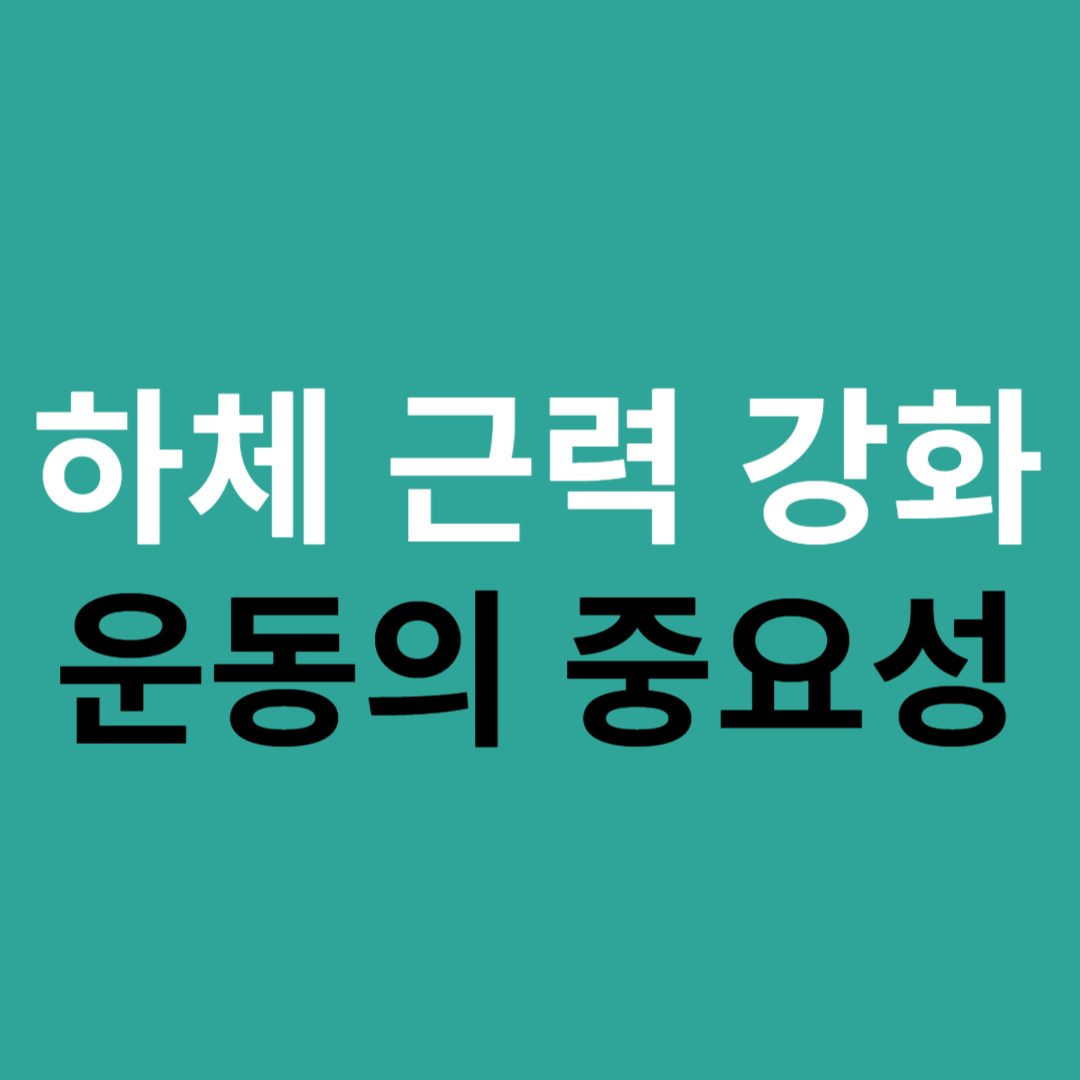 하체 근력 강화 운동