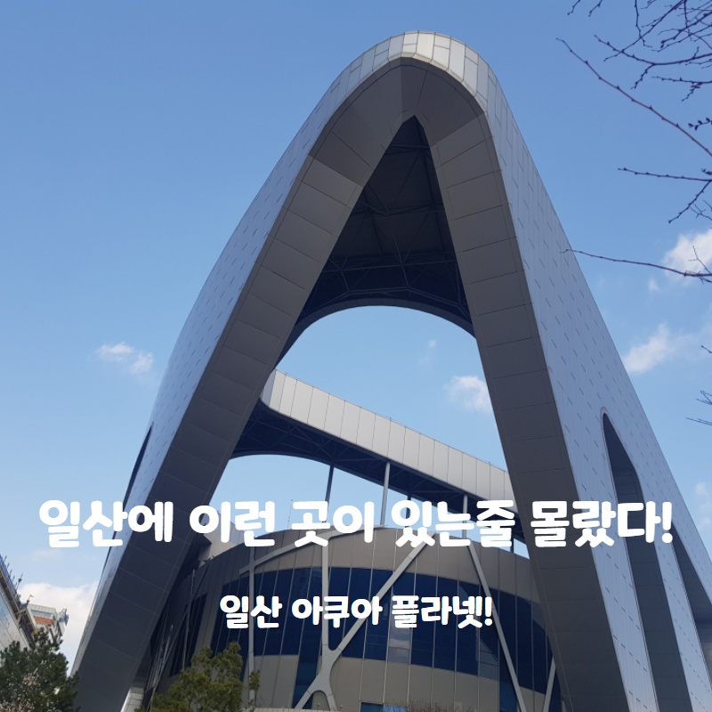  일산의 명소중 한곳! 이런곳이 있는줄 몰랐다! 일산 아쿠아 플라넷